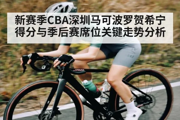 新赛季CBA深圳马可波罗贺希宁得分与季后赛席位关键走势分析